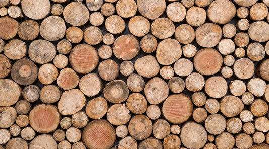 Die besten Holzarten fürs Räuchern: Tipps für den perfekten Geschmack