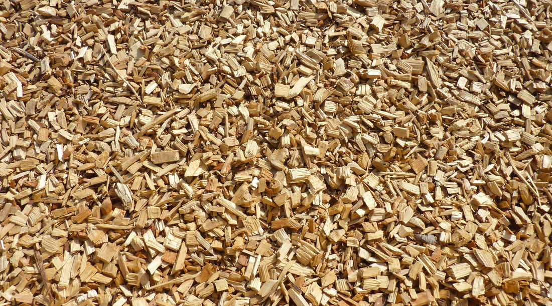 Räucherspäne richtig lagern: So bleibt dein Holz aromatisch und trocken