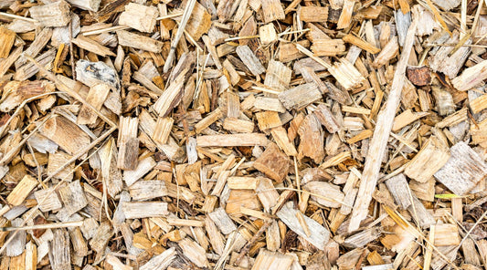 Welche Holzsorten sind unbedenklich für den Rauchgeschmack?